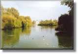 St James' Lake (Looking East)