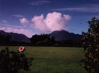 kaua6.jpg (8210 bytes)