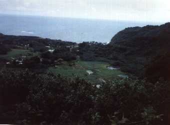 maui2.jpg (7244 bytes)