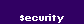  Security 