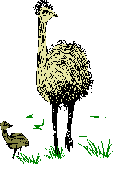 emu_chick.gif - 6.0 K