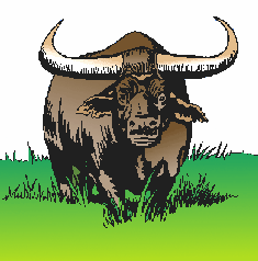 waterbuffalo.gif - 15.3 K