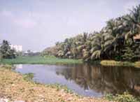 Vikramgarh Jheel