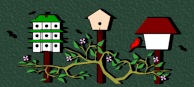 Bird and bird house