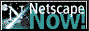 Netscape Logo