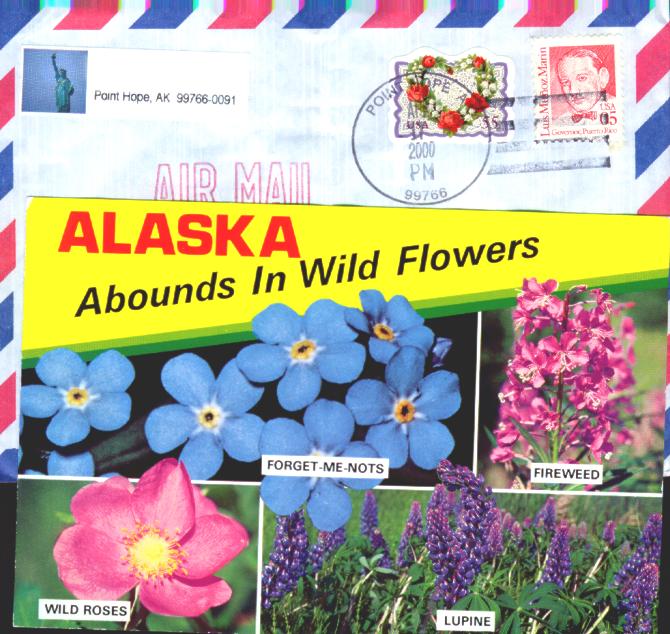 Qsl from Alaska