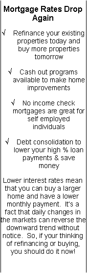 Text Box: Mortgage Rates Drop AgainRefinance your existing properties today and buy more properties tomorrowCash out programs available to make home improvementsNo income check mortgages are great for self employed individualsDebt consolidation to lower your high % loan  payments & save moneyLower interest rates mean that you can buy a larger home and have a lower monthly payment.  Its a fact that daily changes in the markets can reverse the downward trend without notice.  So, if your thinking of refinancing or buying, you should do it now!  