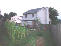 overview of house and backyard