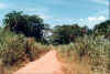 Luwero_Road.jpg (653653 bytes)