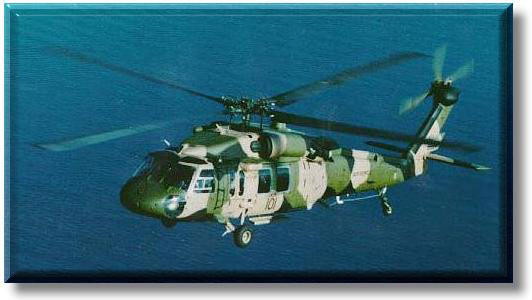 click here for more info on the black hawk!