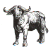 Ox