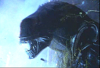 alien6.jpg (77495 bytes)