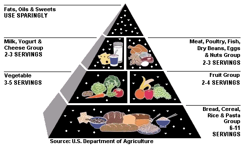 Food Pyramid