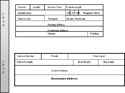 IPv4/IPv6 Header Format