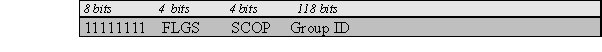  Multicast Address 