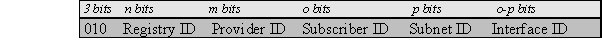 Provider Based Unicast Address 