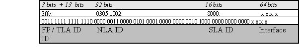  Global Unicast Address Format 