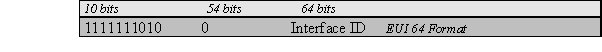  Link Local Address Format 