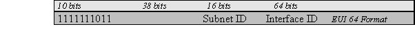  Site Local Address Format 