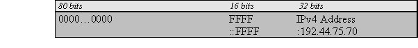  IPv4 Mapped IPv6 Address 