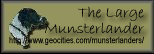 The Large Munsterlander