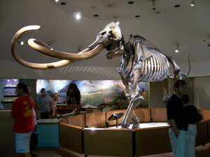 La Brea Tar Pits