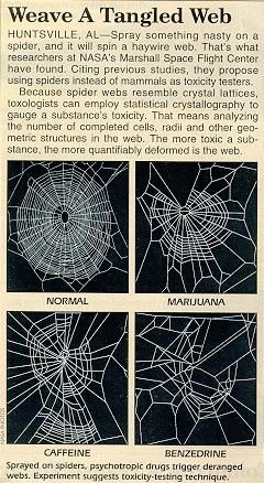 webs.jpg (50568 bytes)