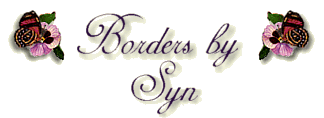 Welcome to Borders by Syn