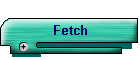 Fetch