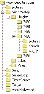 Directory Tree