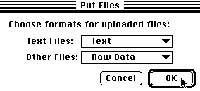 File Type Options