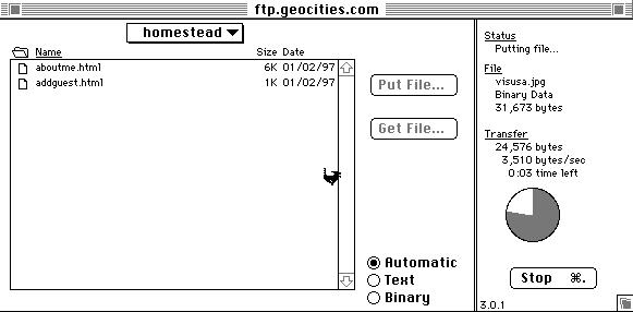 Transfer Status Window