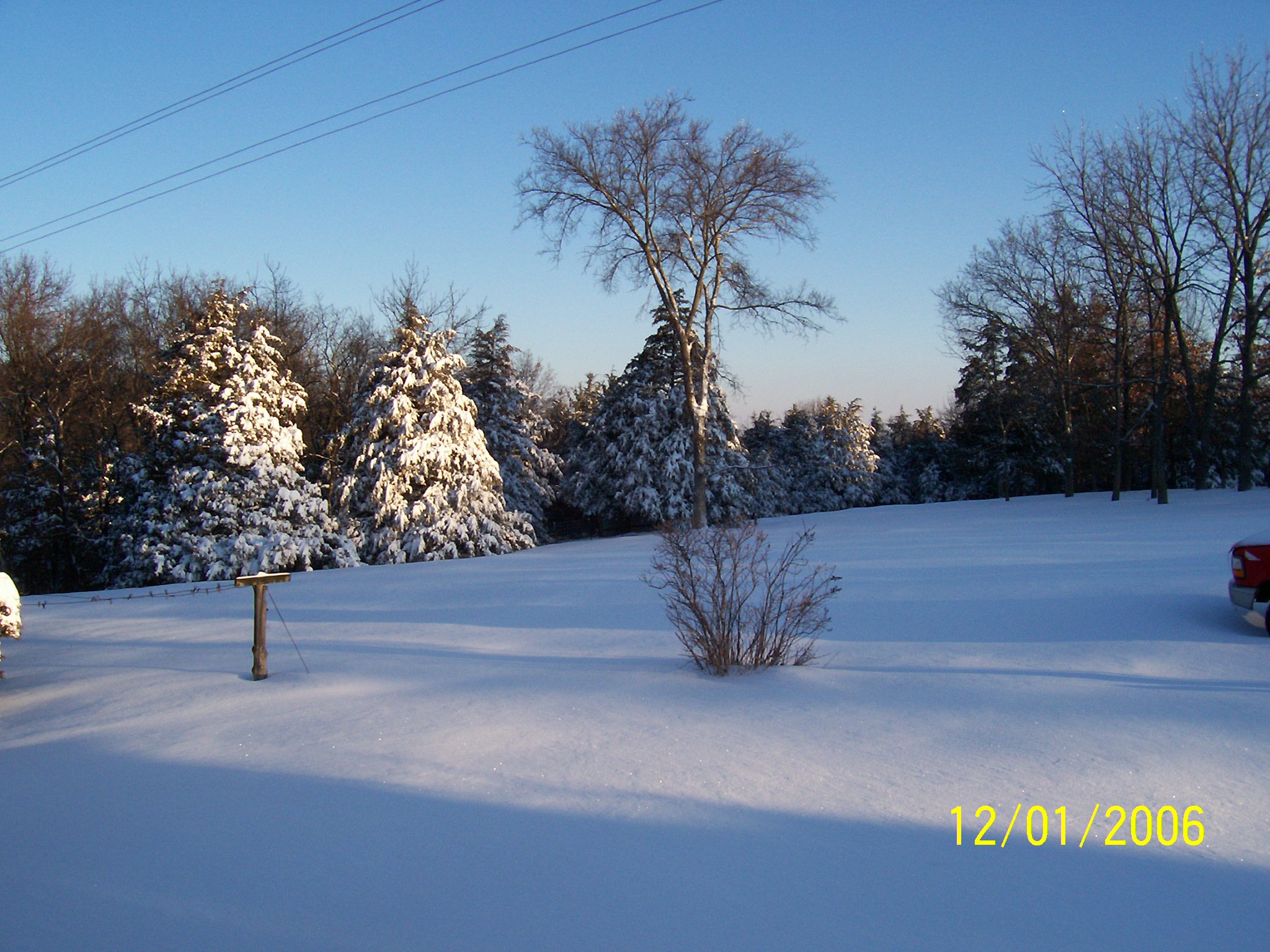 Dec 1,2006 Back Yard