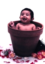 Anu in Pot