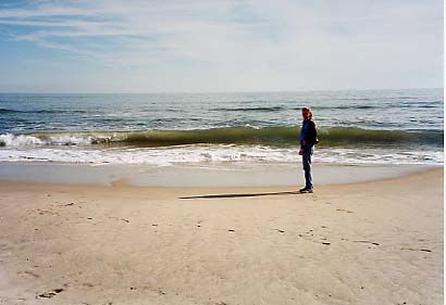 Assateague Island - Atlantic Coast