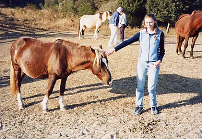 Assateague Island - Careful Approach