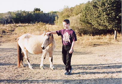 Assateague Island - Not So Wild