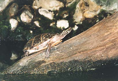 Baltimore MD - National Aquarium