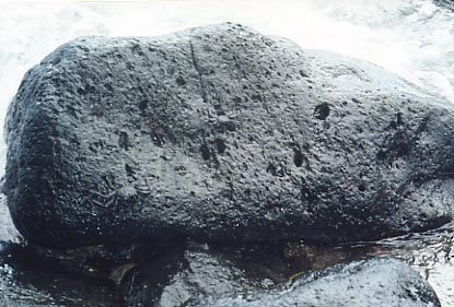 Lahaina Hauola Stone