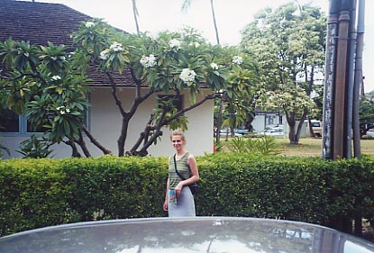 Lahaina Brick Palace Flowers