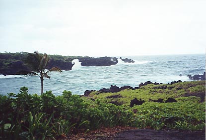 r2hana Waianapanapa Park