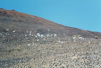 Haleakala Crater