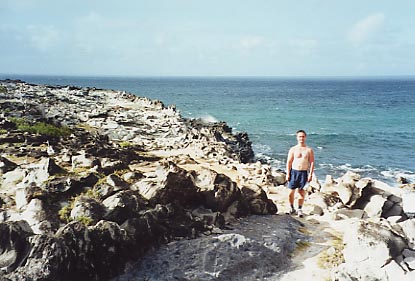 Dragons Teeth