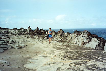 Dragons Teeth