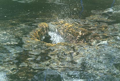 Nakalele Blowhole