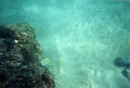 5 Caves Snorkeling