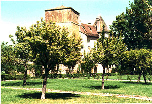 Chateau from the Rose Garden