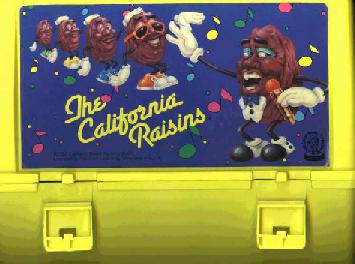 Raisin Lunchbox