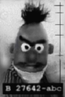 Bert's mug shot