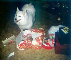 Meesha Christmas 1997